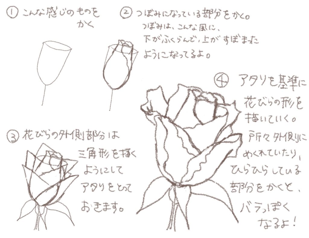 アナログイラスト 角度別の薔薇の描き方 ファッションイラストの描き方