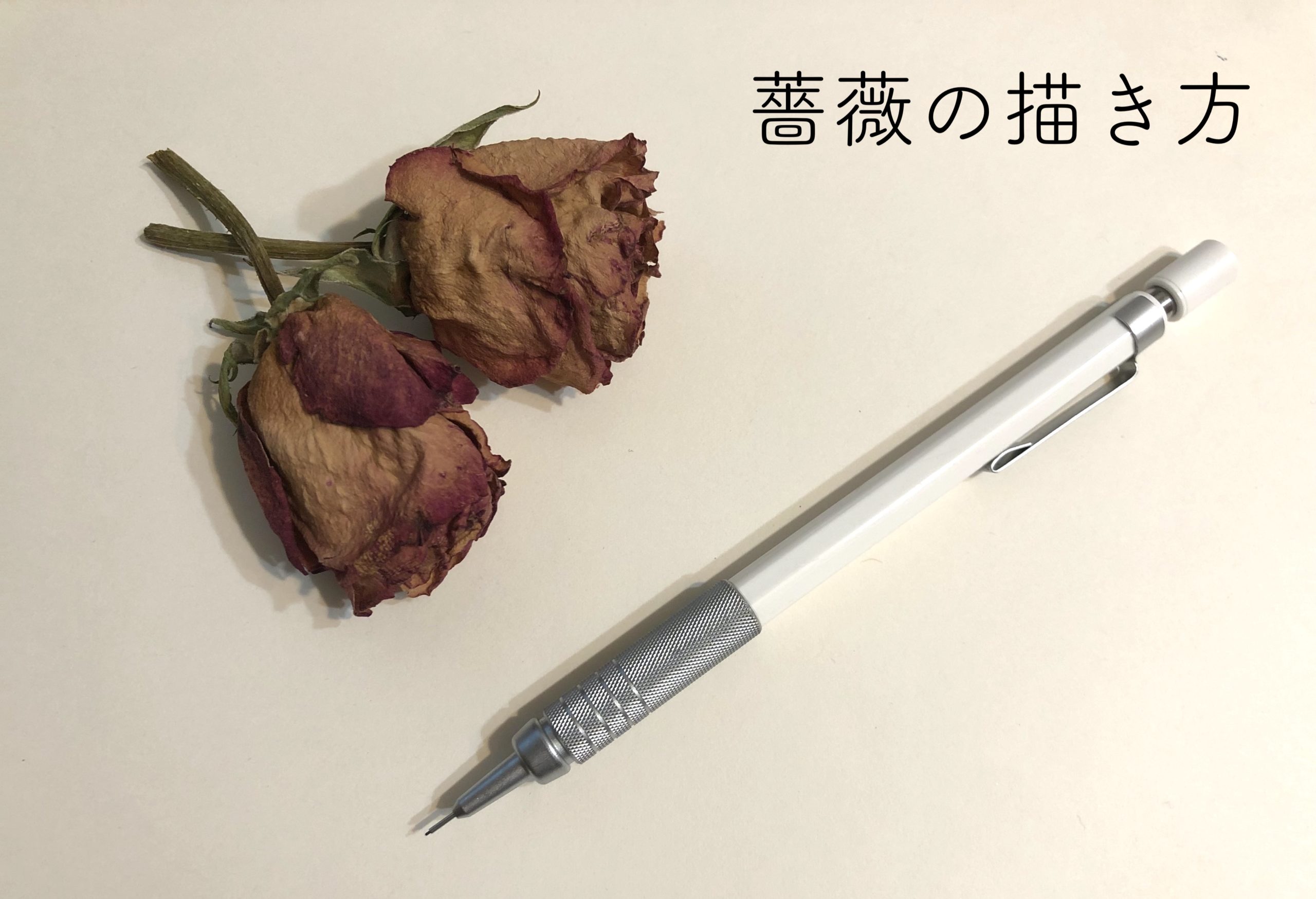 アナログイラスト 角度別の薔薇の描き方 ファッションイラストとデザイン